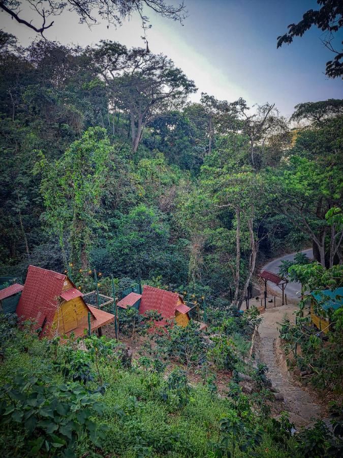 Eco Cabin - Tanoa Minca Hotell Eksteriør bilde